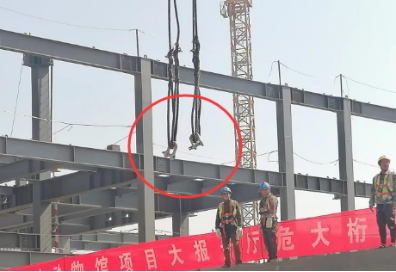 卸扣助力中國古動物館建設(shè)